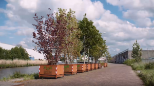 h20 boombakken in breda