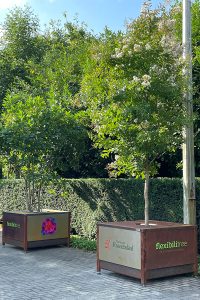 flexibilitree boombakken roosendaal