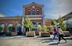 Bewegend-educatief-bos-Zoontjens-Boomprojecten