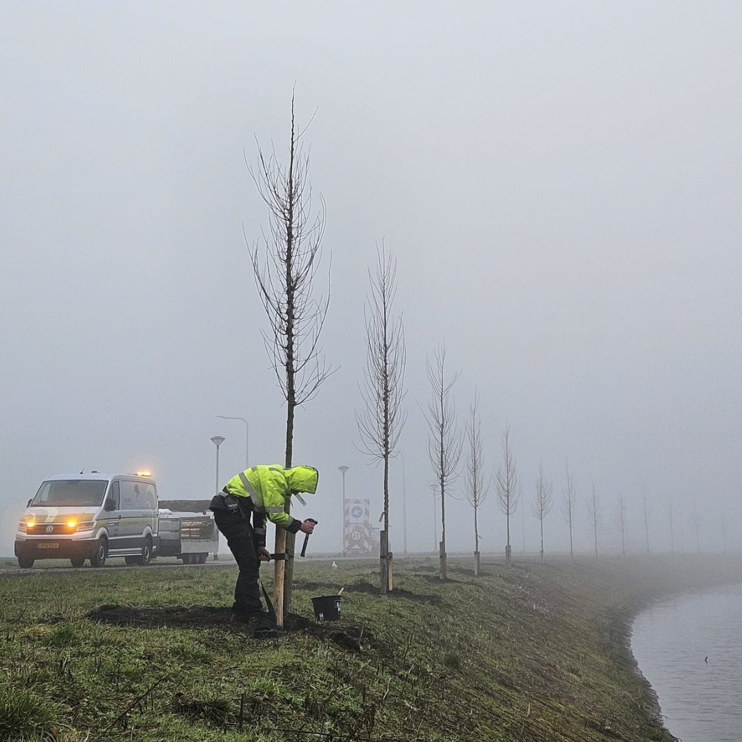 Bomenplanten mist